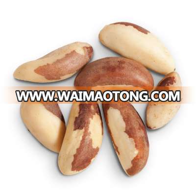 Organic and Conventional Brazil Nuts Raw Sizes Brazil Nuts Top Quality for sale Brazil nuts contain